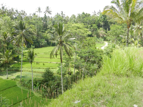 Bali - Zo maar onderweg.