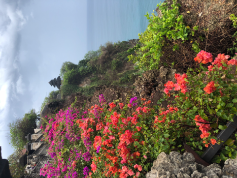 Bali - Tempel Uluwatu
