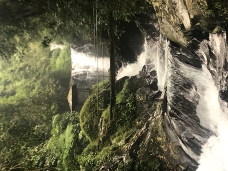 Bali - Tropisch water