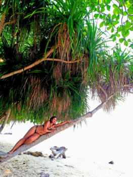 Bali - Karimunjawa island