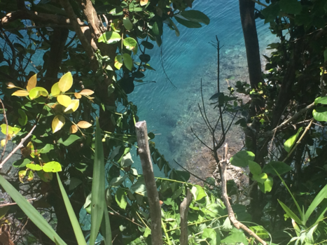 Molukken - Reis van mijn leven. My roots Maluku