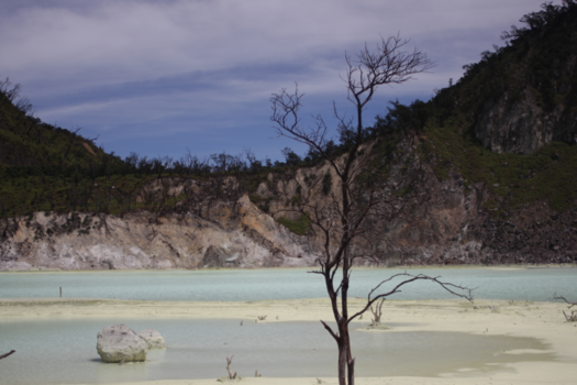 Rondreis Indonesië in vier weken - A bad place to grow