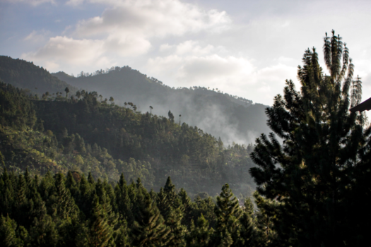 Rondreis Indonesië in vier weken - Green mountain