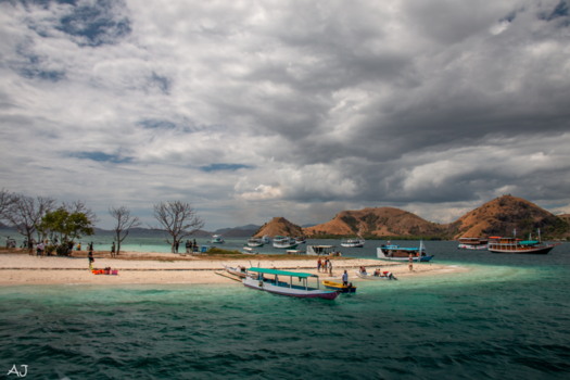 Flores - Beach life around Flores