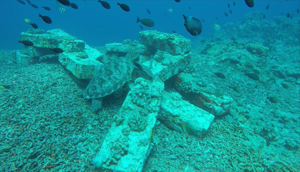 Gili-eilanden - Turtle heaven