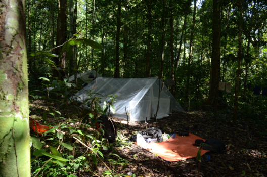 Sumatra - Zelfgemaakte tent