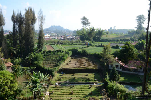 Sumatra - Omgeving van het dorp