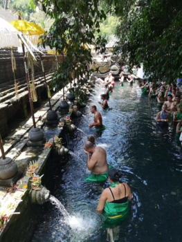 Rondreis Indonesië in vier weken - Bali tirta empul