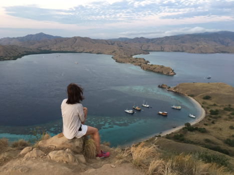 Komodo - Sky is the limits