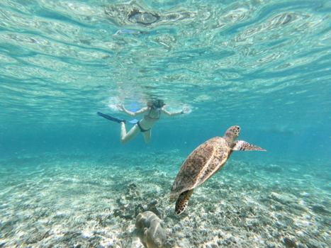 Lombok - Magische ontmoeting