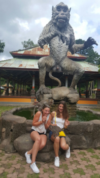 Bali - Nieuwsgierige aapjes