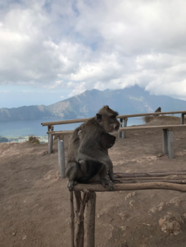 Bali - Ouder en kind