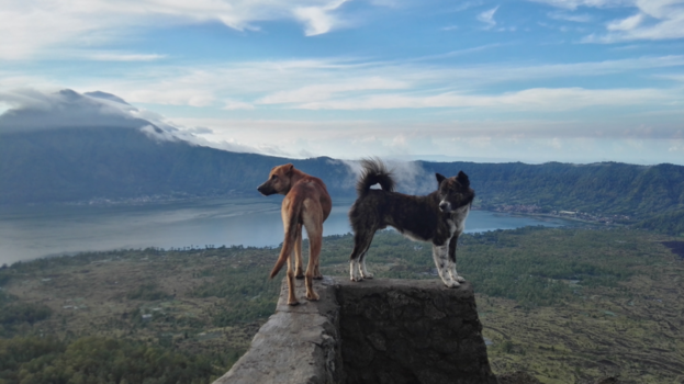 Bali - Medereizigers mt. Batur