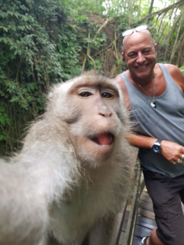Monkey Forest - Monkey forest Ubud Bali