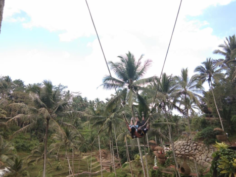 Ubud - Swing @ Ubud honeymoon 💖