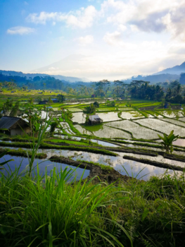 Bali - Sidemen, Bali.