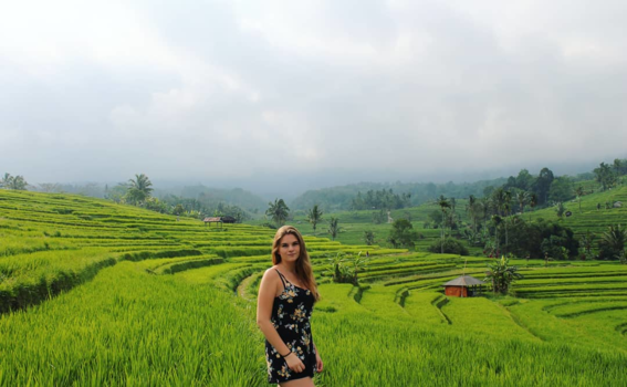 Bali - Rijstenveld