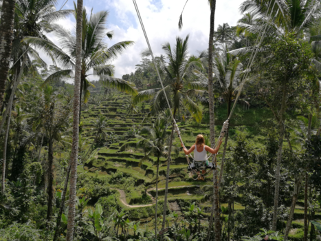 Bali - Rice Terace Tengalalang