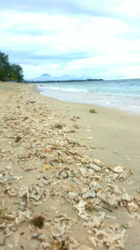 Rondreis Bali & Lombok - Een rondreis door Indonesië
