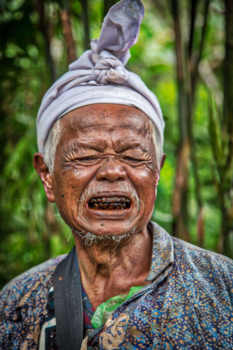 Rondreis Bali, Java & Lombok - SayCheese