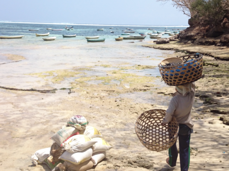 Nusa Lembongan - The magic bridge of Nusa Lembongan