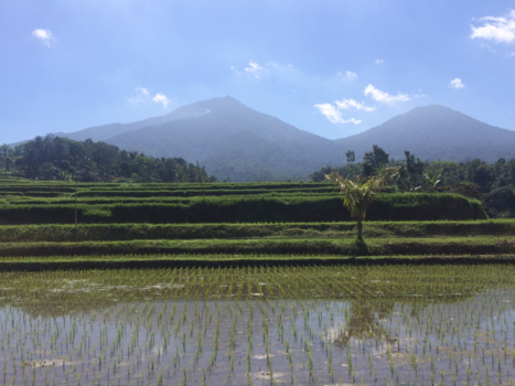 Bali - Beautiful Bali