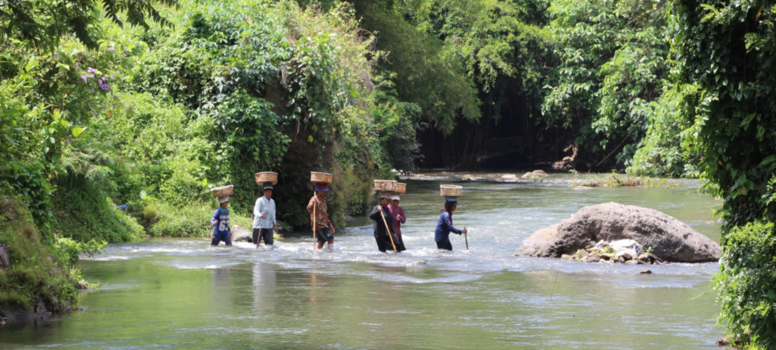 Bali - Nooit meer klagen over werk 😏