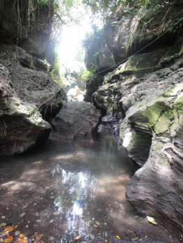 Bali - Hidden canyon Beji Guwang
