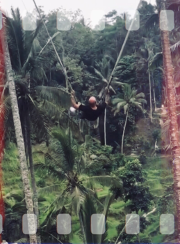 Bali - BALI JUNGLE SWING