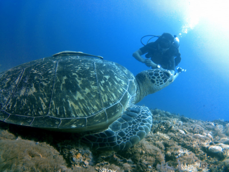 Gili-eilanden - Duiken bij Gili Air