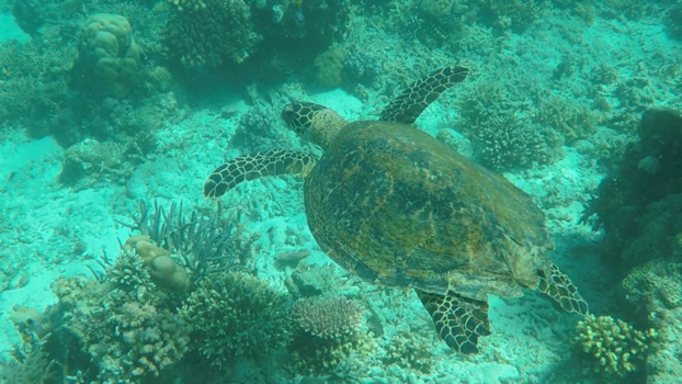 Komodo National Park