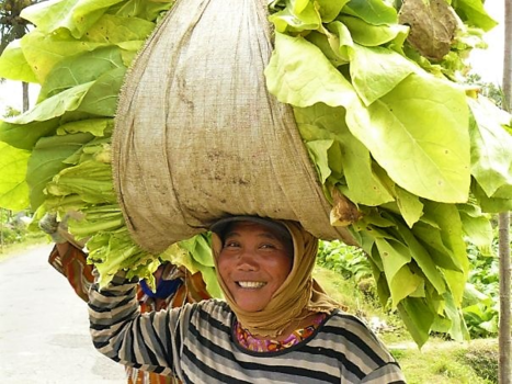 Lombok - Keep Smiling