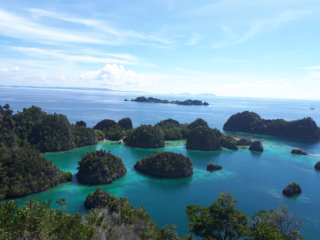 Raja Ampat eilanden - Lovely Raja Ampat /Papua