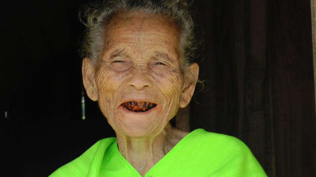 Flores - Village woman