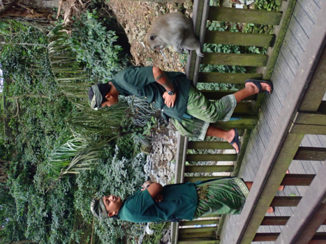 Bali - Drie op een rij