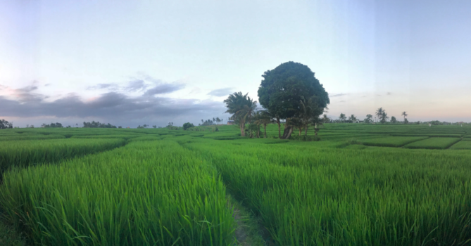 Bali - Beautiful Bali