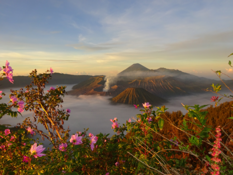 Java - de Bromo op Java, gelukkig zonder lava