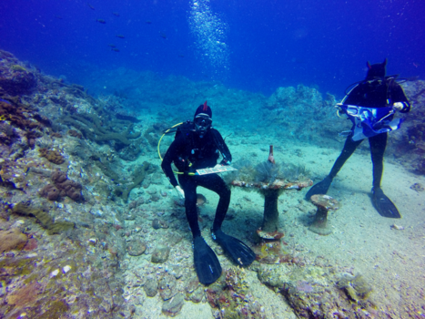 Bali - Ook op 40m onder water kan je studeren