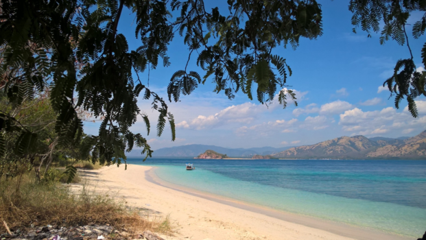 Flores - Op een onbewoond eiland