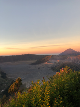 Java - Bromo zonsopkomst