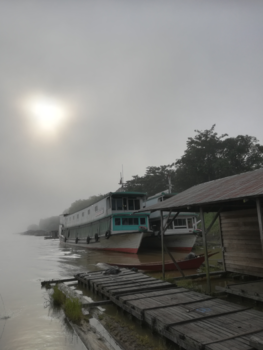 Kalimantan - Ochtendmist