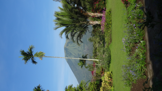 Sulawesi - Uitzicht na het wakker worden