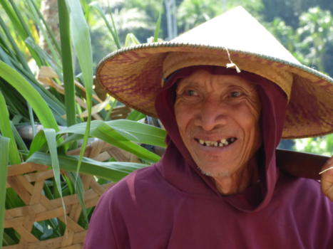 Rondreis Bali - Authentieke Balinees