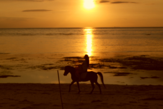 Rondreis Bali & Lombok - Gili Trawang, in love forever....