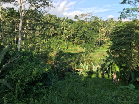 Bali - Wonderful bali