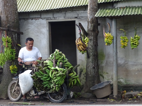 Rondreis Bali & Java - bananenman