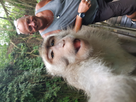 Bali - Selfie in Monkey forrest