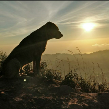 Gunung Batur - Zonsopkomst mount Batur Bali
