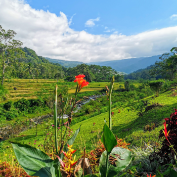 Rondreis Indonesië buiten de gebaande paden - Aan de voet van de Kelimutu vulkaan Flores Nusa Tenggara Flores