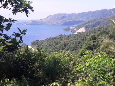 Ambon - Uitzicht vanuit de rimboe Mahia